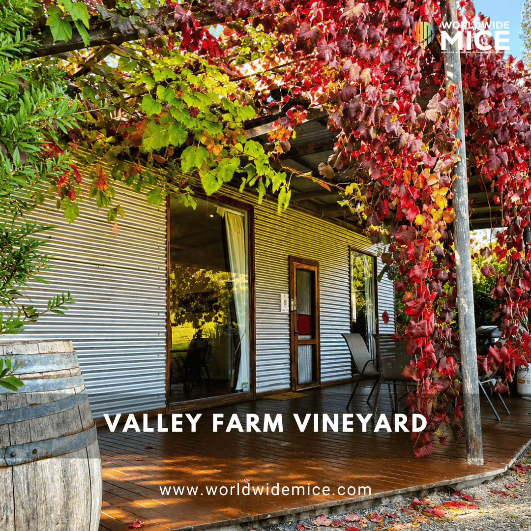 Valley Farm Vineyard